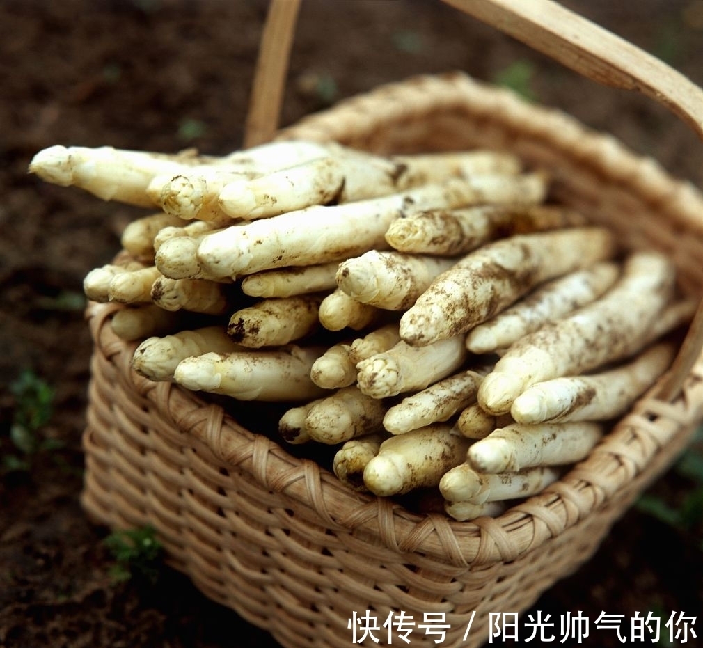 买芦笋,挑白芦笋还是绿芦笋?不懂如何挑选,跟芦笋种植户学学吧