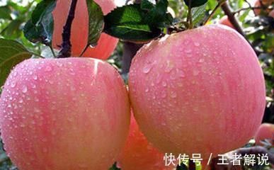 脾胃虚寒|立秋过后,养生有诀窍!吃2物做4事,排出全身毒,整个秋天少得病