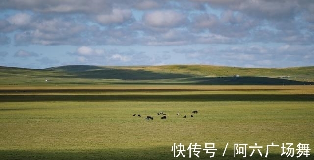 露营|解锁若尔盖大草原新玩法，体验一场秋日的草原露营