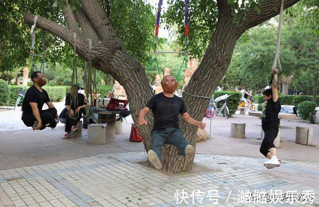 低头族|沈阳1棵大树上“吊满”许多大爷,知情人说这有名堂,看是啥