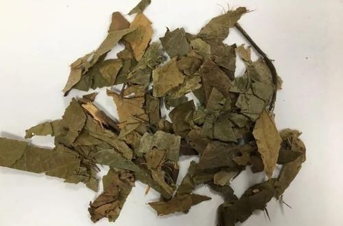 健脾胃|小儿厌食,积食怎么办?这6 味中药一定不能错过!健脾胃,消疳积