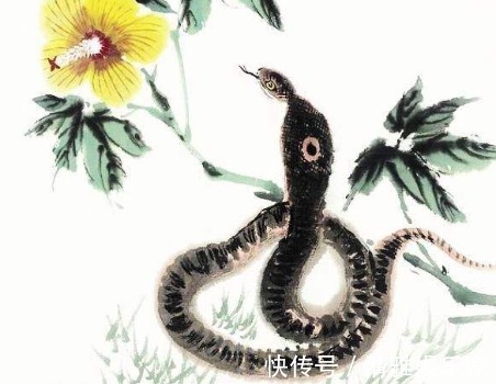菩萨|一辈子菩萨保佑的4生肖，财神福神常伴身旁，生肖蛇最让人羡慕