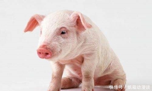 说吃猪肉|朱元璋姓“朱”，为了让百姓放心吃“猪肉”，他就改了1个字！