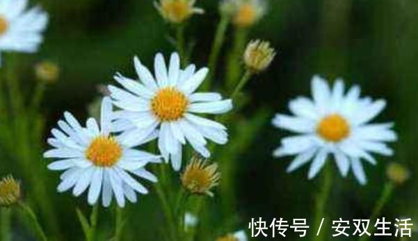 大器|孩子以后能否成大器,和成绩无关,这3句话点醒无数父母