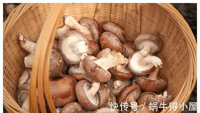 清洗香菇时,不要放水里过度浸泡,多加3样,泥沙容易洗出来