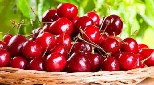 双孢菇|想肌肤年轻，平时吃的食物，皮肤红润嫩白，去皱消斑，气色红润