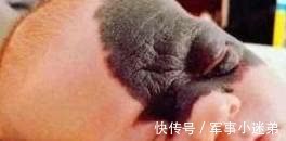 宝宝|若不想让宝宝留下胎记,孕期就别太任性,尽量不要有这4种行为