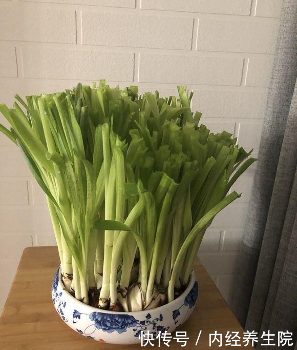 养这2种花的,冬天开完了,不要丢,简单“处理”,秋天接着开!