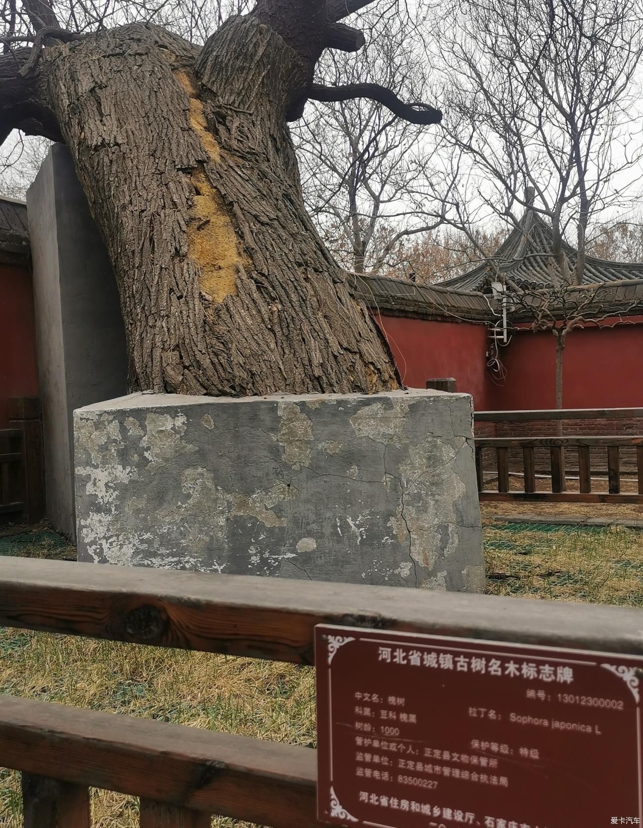 天宁禅寺 璀璨的明珠