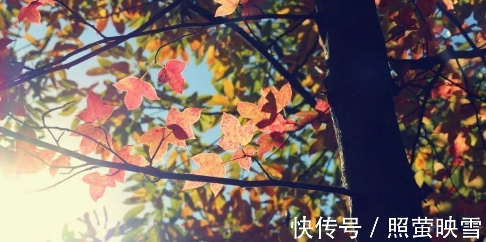 山行#古今10首写秋名作,首首经典,哪一首是你心中的第一