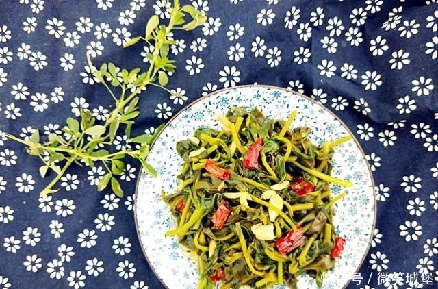 棒棒|夏天最该吃这菜,消暑解热毒防流感,孩子吃了不感冒,身体棒棒的