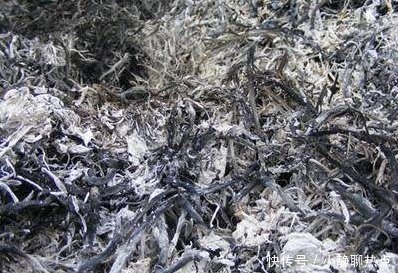 在花盆里撒点它,盆栽植物花卉蔬菜,20年都健壮不生病!