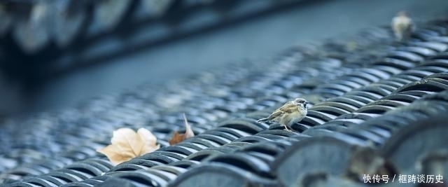 天底下只有两股势,懂得判断势头,大势所趋,是一个人成事的关键