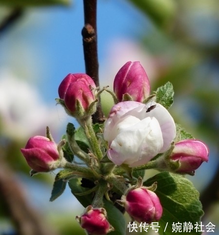 桃花|下个月，缘分和桃花历经大风大浪，收获神仙爱情的4大生肖！