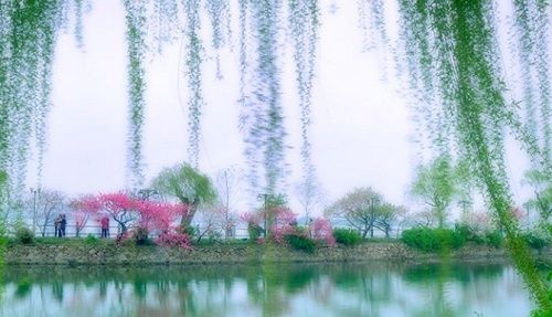 雨水#【二十四节气·雨水】好雨知时节 当春乃发生