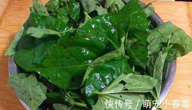 秋天最应该吃的一个菜,蒸一蒸就好,营养又解馋,全家都喜欢