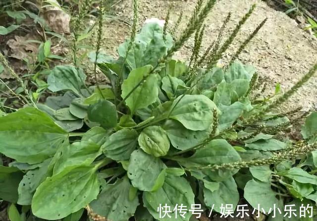 糖尿病|糖尿病人不能吃肉?医生:2种肉易升糖,3种肉易控糖,请正确对待