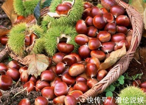 辅助治疗|秋天是板栗成熟的季节,多吃一点板栗,收获5个益处