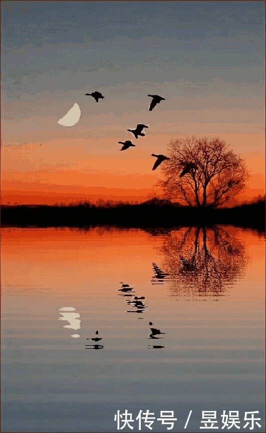 《这个冬月不再冷》作者:梦之蓝 主播:读你