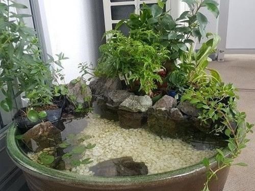 农村大水缸越来越不舍得扔了，铺些碎石水草变水景，城里人抢着要