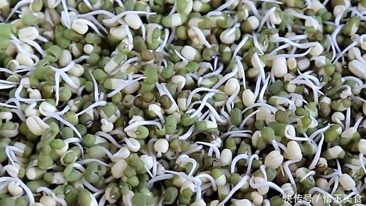 做法|想吃绿豆芽别再买,教你在家生,一碗绿豆生一大盆,做法超简单