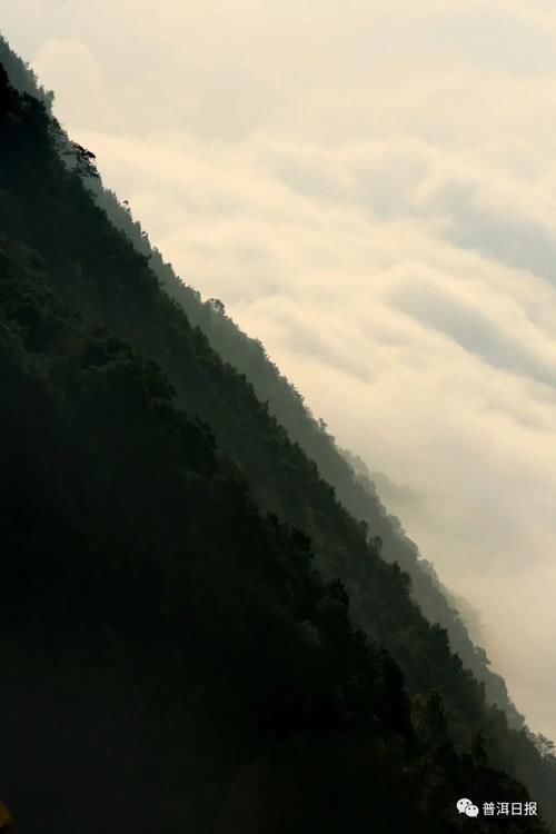 原来你是这样的白马山