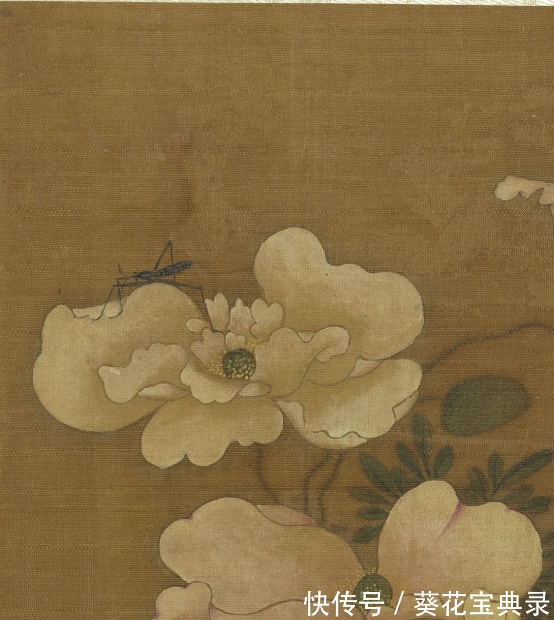 王渊$雅韵网---元代王渊之虞美人月季作品欣赏