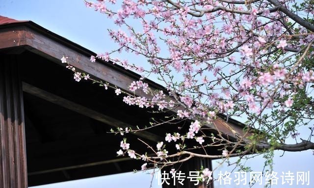 桃花庵!唐伯虎最经典的一首诗, 其中一句流传千古, 你一定曾听说过!