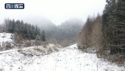 降雪|赏雪时间到！四川多地降雪变晶莹世界