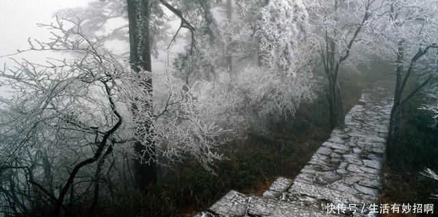 五本理智流小说,靠的是脑子