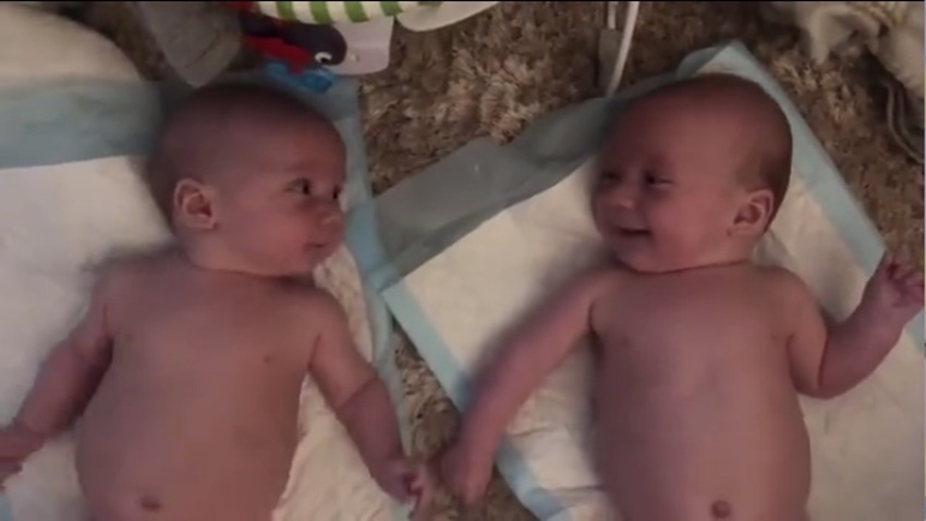 双胞胎|四个月大的双胞胎宝宝愉快的聊天火了，网友：这交流的真毫无障碍
