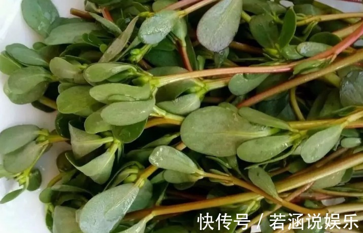 食物|孕妇饮食有“讲究”，9大蔬菜尽量别碰，可保“母子平安”！