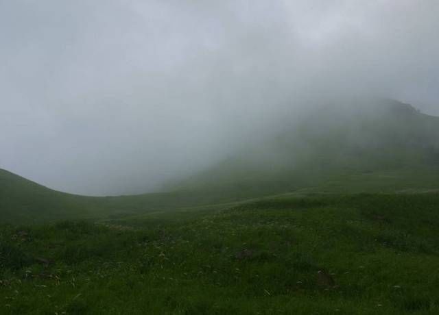 水平|白居易“离离原上草”被郭沫若和北宋一怪才模仿,水平高下立判
