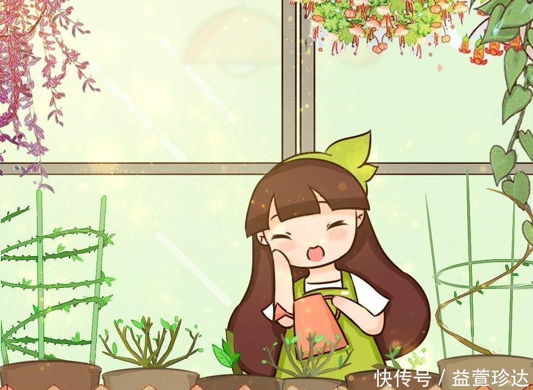 养花浇水,这4个错别犯,否则养啥花都黄叶、烂根,学会一生受用