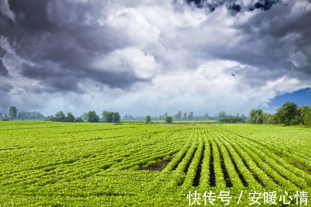 土地资源|集体经营性建设用地出租可以是长期吗?如何规范建设用地入市?