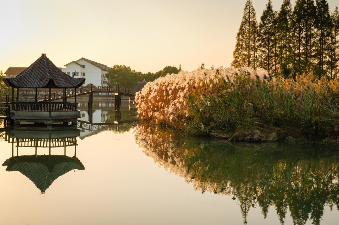 真想约一次“芦荡唱晚”常来常熟，流连撩人风景