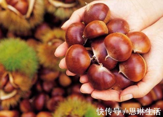 板栗|板栗虽好,但不是人人都能吃,此类人吃了对身体不好,得忌口