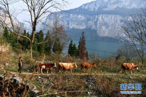 化屋村人的新年心愿