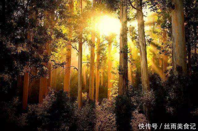 风池穴|阳气为什么可以治百病?中医为你解密,简单3招补足阳气远离寒湿