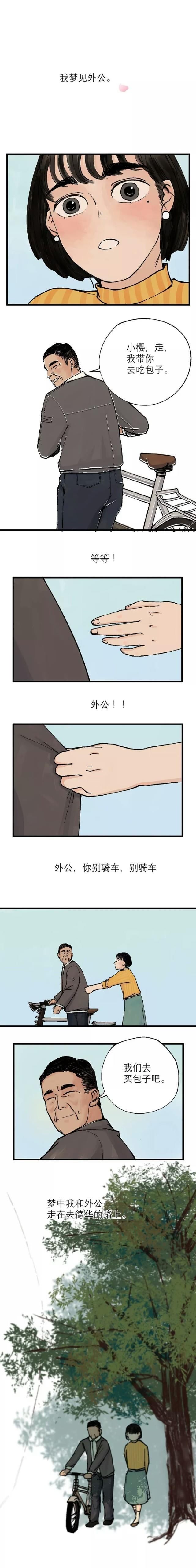 外公|漫画：外公的二八大杠