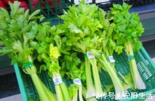 异叶茴芹|女性养生，常吃4种食物，补益气血，祛皱抗衰，预防妇科病