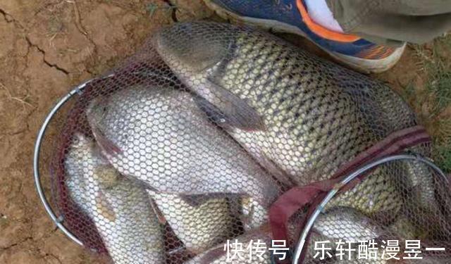泄露|不止一次告诉你,夏天“征服”鲤鱼,唯独这钓法百用百灵,别泄露