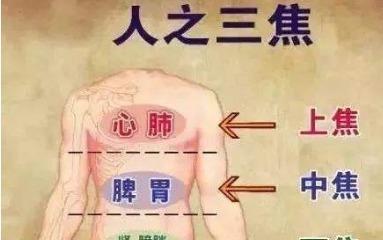 肾火|一味中药,上清心肺之火,中泻胃火,下泻肾火,疗效独特