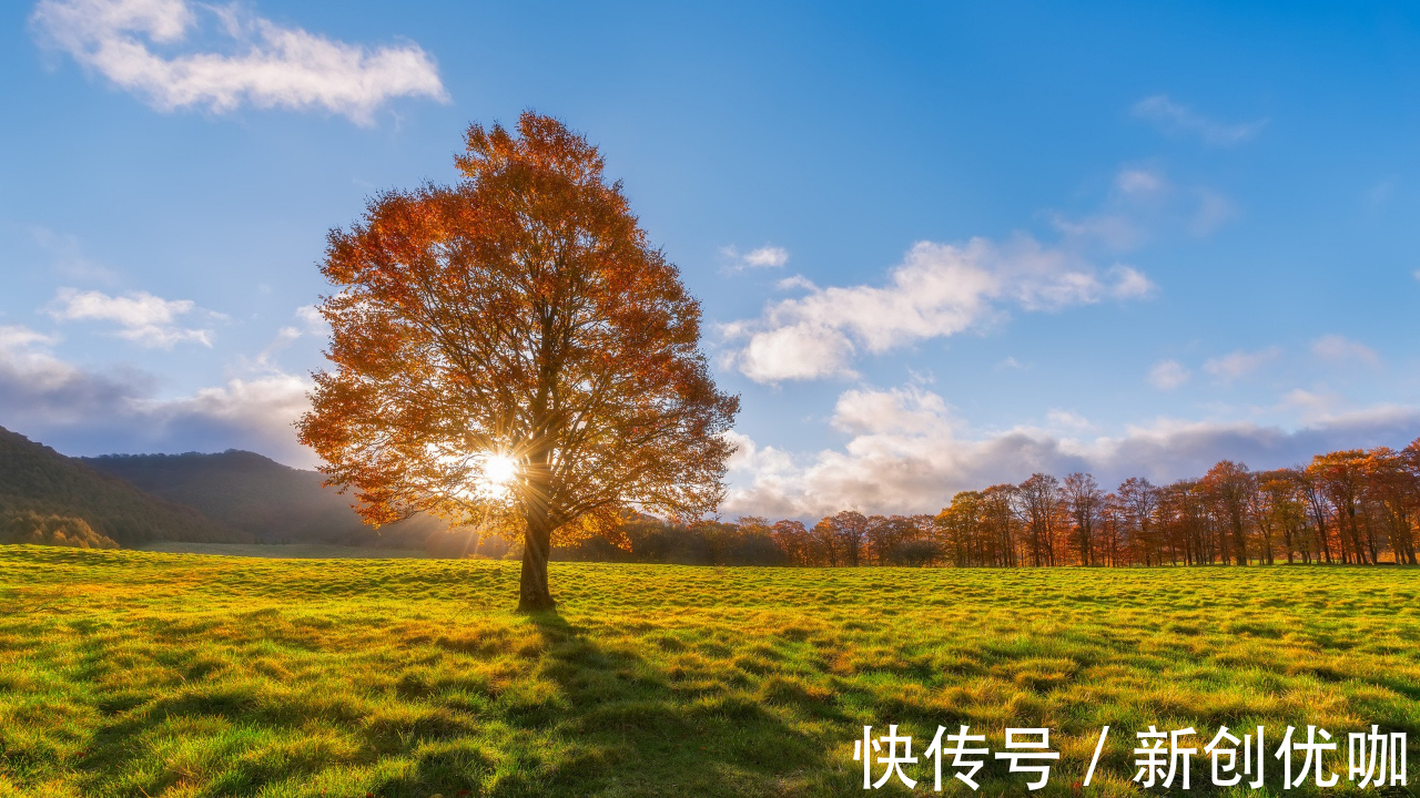 烂桃|2022年初，桃花旺盛，避开烂桃花，迎来真爱，缠绵爱情的三个星座