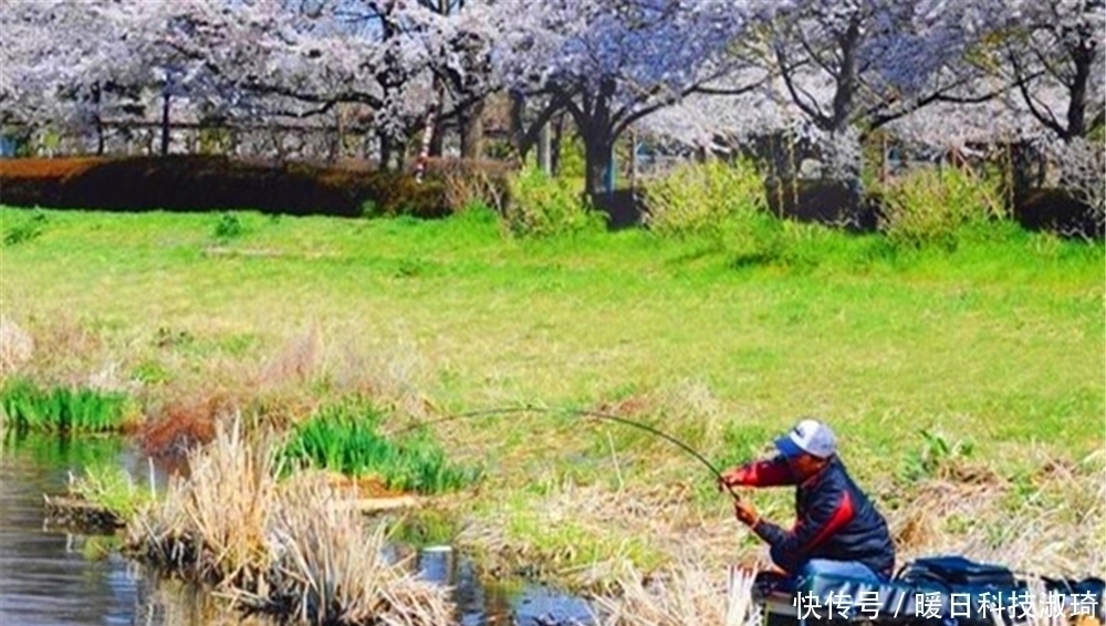 手竿遛大鱼，不必过于追求“动作招式”，记住这几点就不会跑鱼！