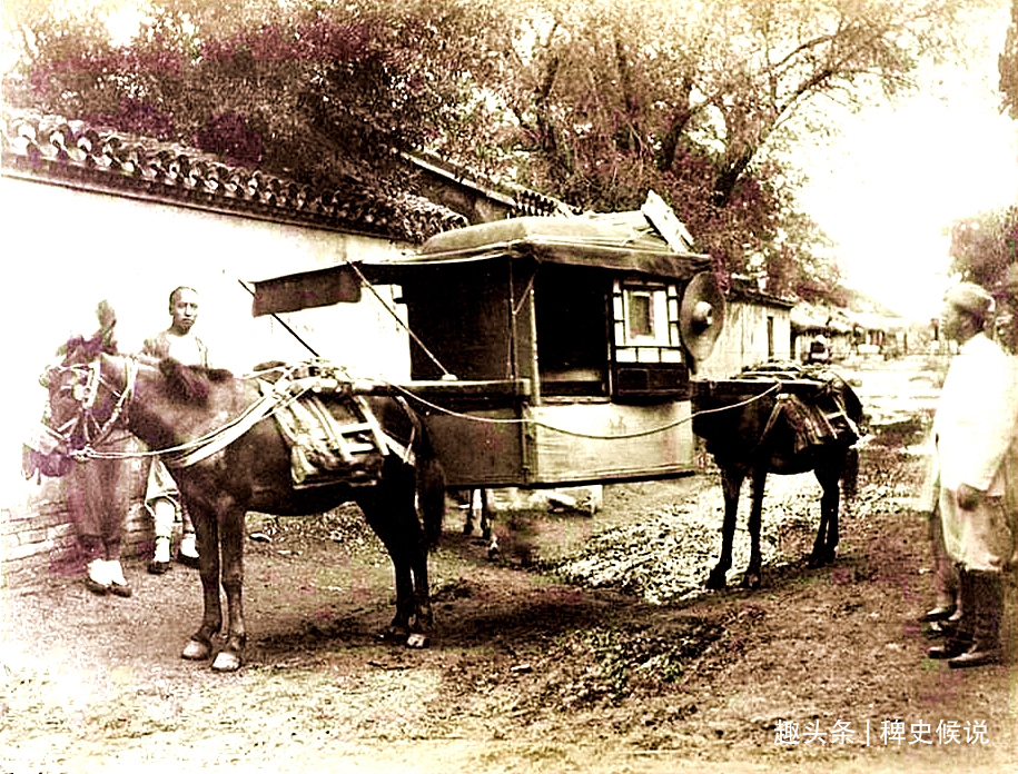 马寡妇#清代奇案寡妇貌美，寺中被人害死，鹦鹉报案伸冤，三个和尚斩首