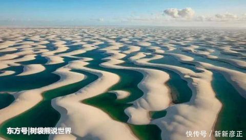 世界上最“失败”的沙漠，鱼蟹成群，碧绿水湾，你知道在哪吗