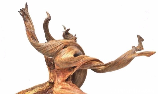 世界上最硬的木头,最迷人的花纹,但却有个致命缺点