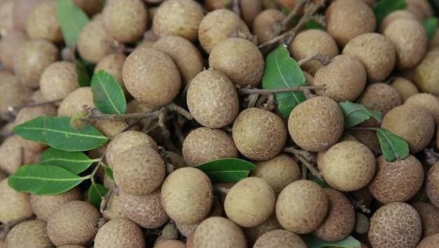 子宫|子宫肌瘤的“劲敌”上线，女人换着吃，暖宫排毒，子宫干干净净