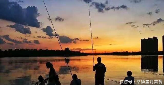 钓友们|钓鱼界的一个玄学,至今没人能解释清楚!